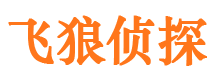 三都市侦探调查公司